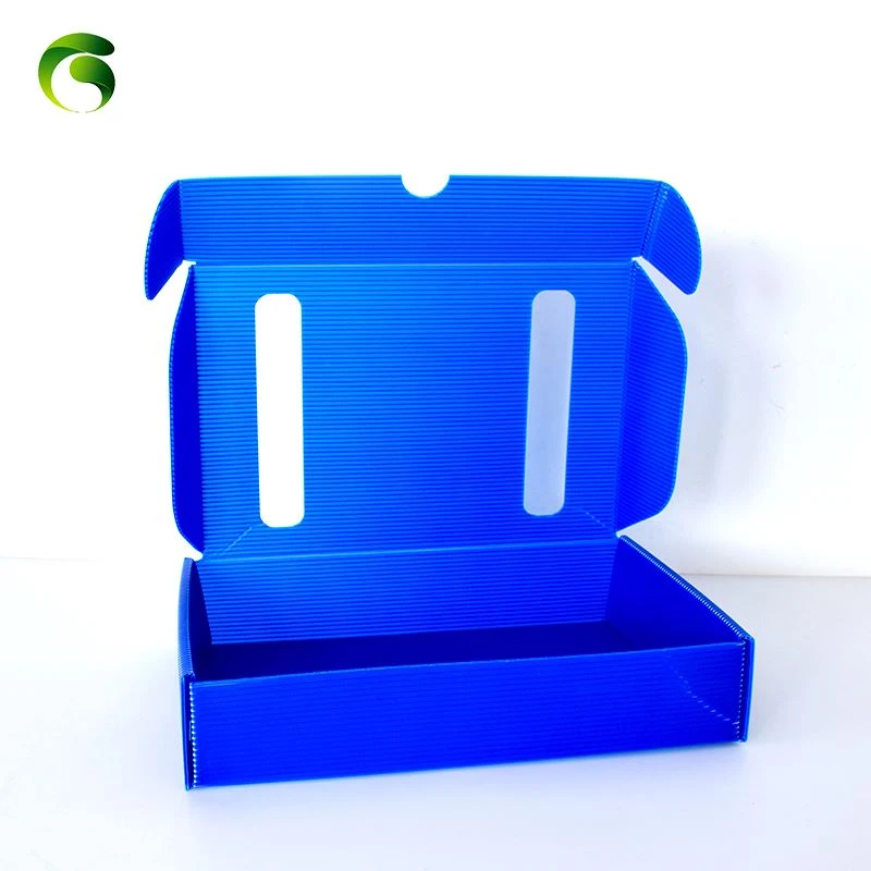 Fabricantes de placa oca informam que o surgimento de caixas de rotatividade ...