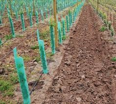 Polypropylene Corrugated Tree Guards